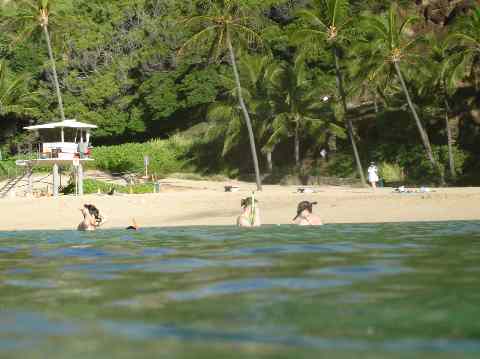 Snorkeling in Hanauma Bay